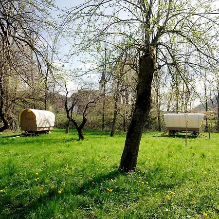 Apartment Tlaka